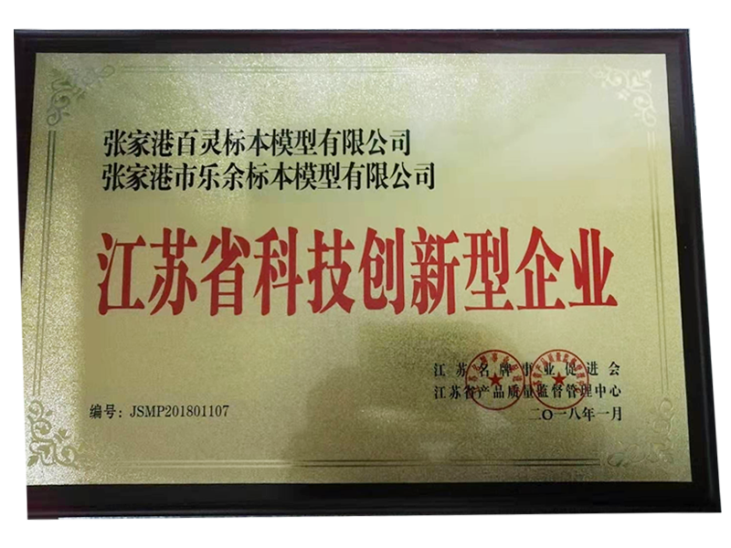 江蘇省科技創(chuàng)新型企業(yè)