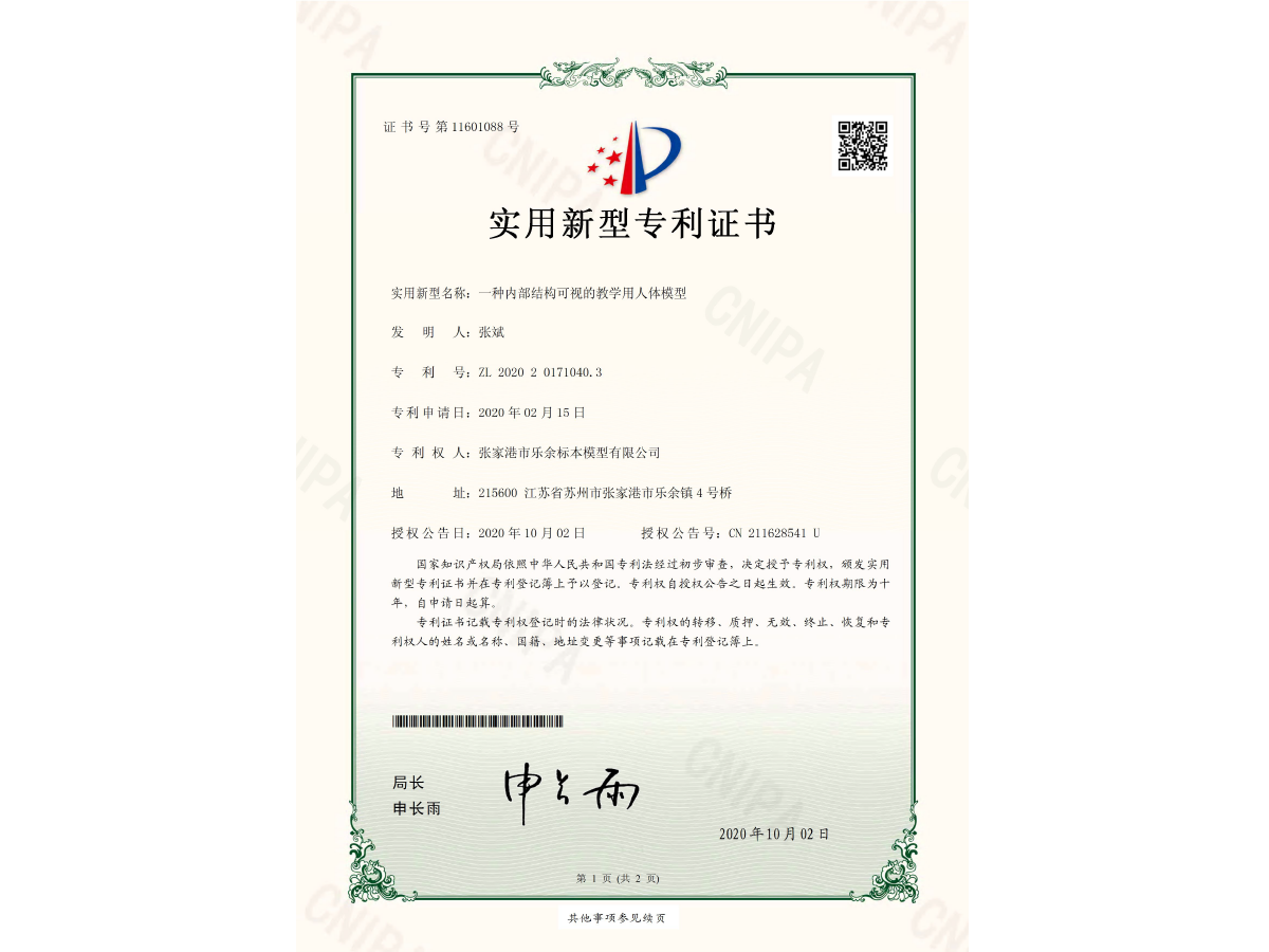 一種內(nèi)部結(jié)構(gòu)可視的教學(xué)用人體模型