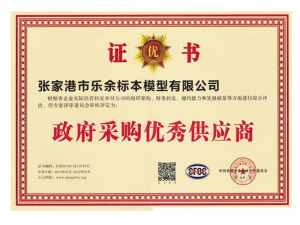政府采購優(yōu)秀供應(yīng)商證書
