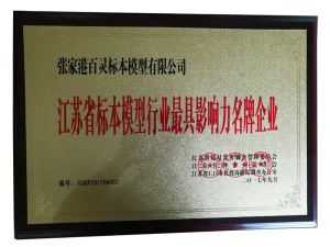 最具影響力名牌企業(yè)