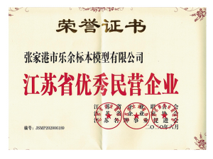 江蘇省優(yōu)秀民營企業(yè)