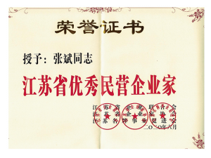 江蘇省優(yōu)秀民營企業(yè)家