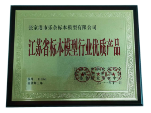 標(biāo)本模型行業(yè)優(yōu)質(zhì)產(chǎn)品