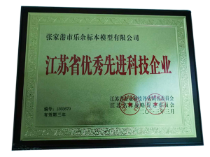 優(yōu)秀先進(jìn)科技企業(yè)證書