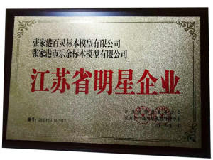 江蘇省明星企業(yè)