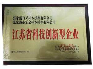 江蘇省科技創(chuàng)新型企業(yè)